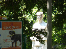 sicily%201066