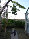 sicily%20722