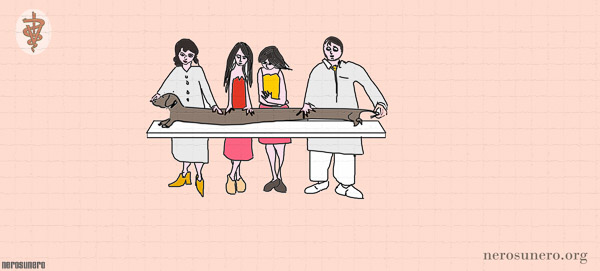 #20 Vegezio 's Family #1 2006