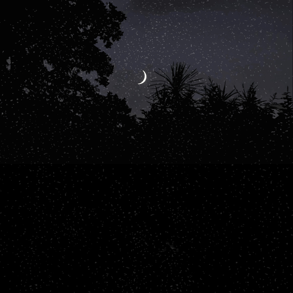 #1441a Blanco & Nigro (The Art of Diversity) 2019